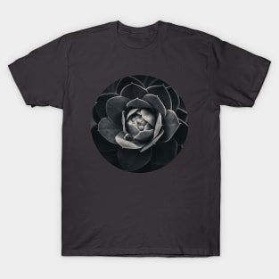 Noir Spurge Plant Photograph T-Shirt